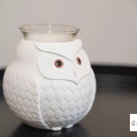 Sensup A 5min De Pairi Daiza