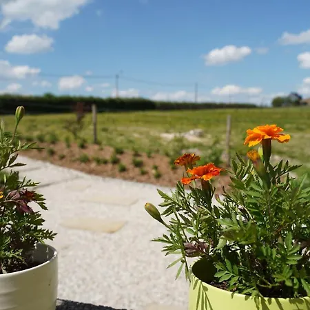 Sensup A 5min De Pairi Daiza فندق مبيت وإفطار بروغيليتي