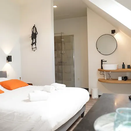 Sensup A 5min De Pairi Daiza 3* Brugelette